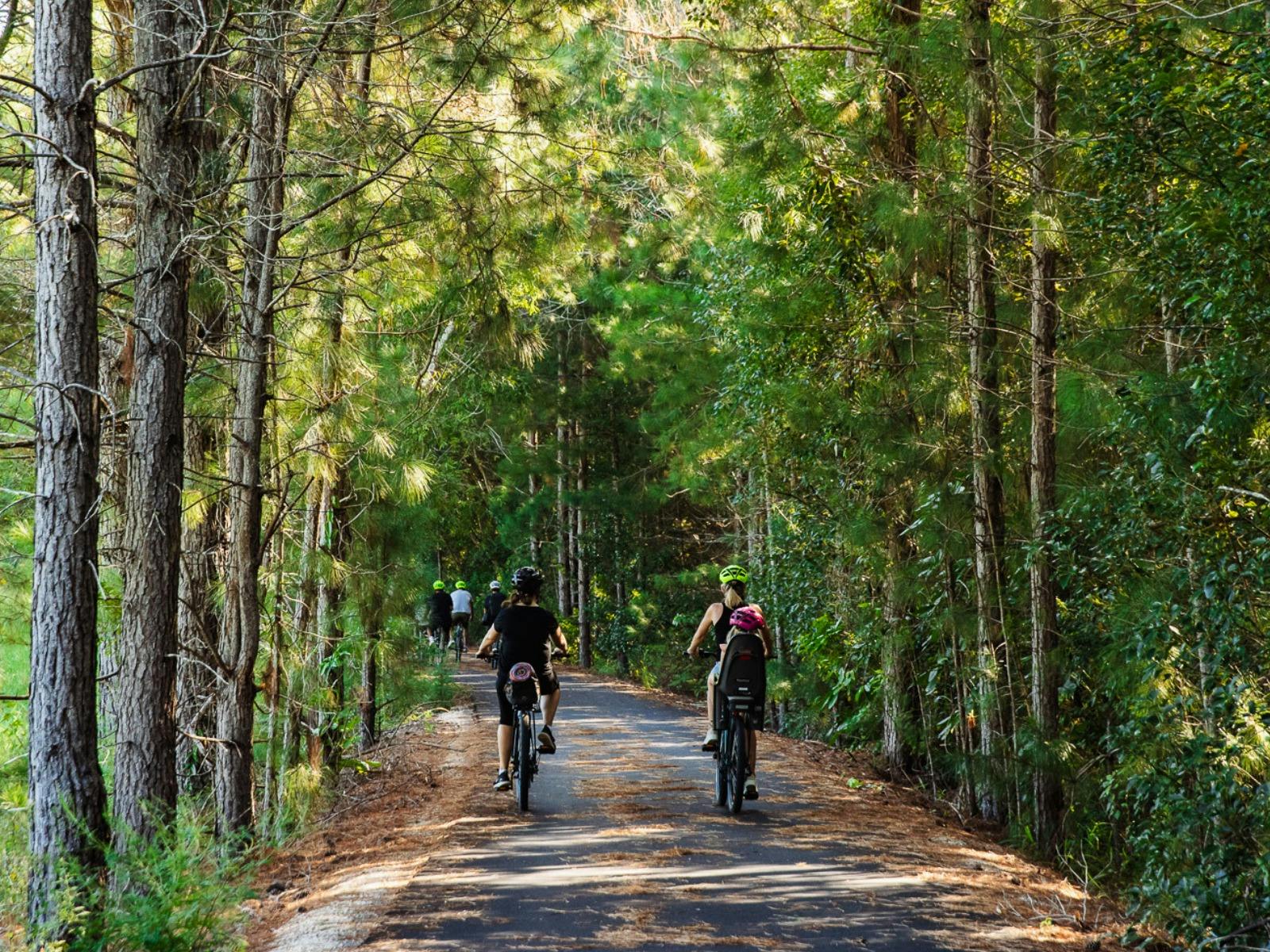 Rail Trail