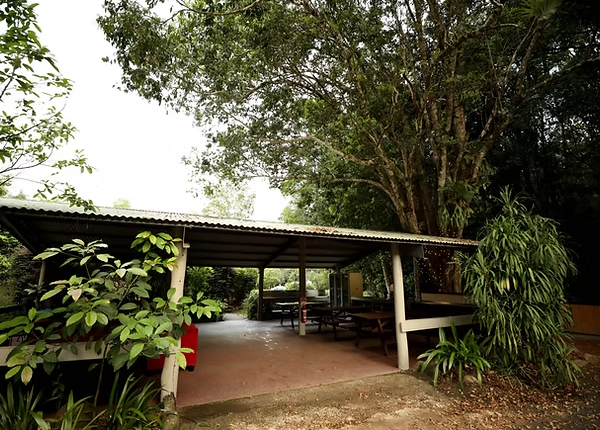 Mt Warning campground