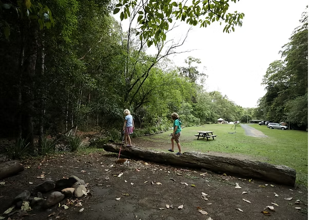 Mt Warning campground